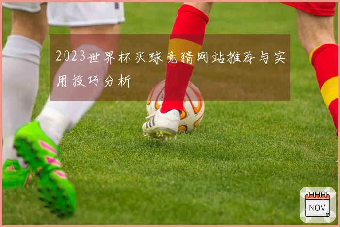 2023世界杯买球竞猜网站推荐与实用技巧分析
