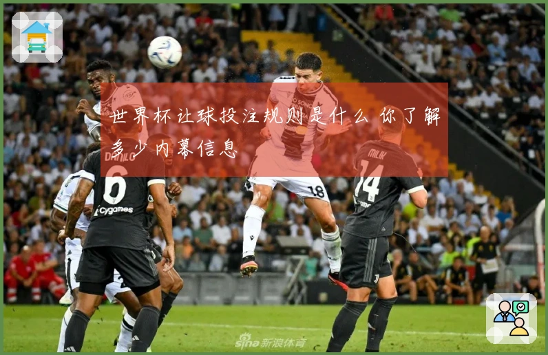 世界杯让球投注规则是什么 你了解多少内幕信息