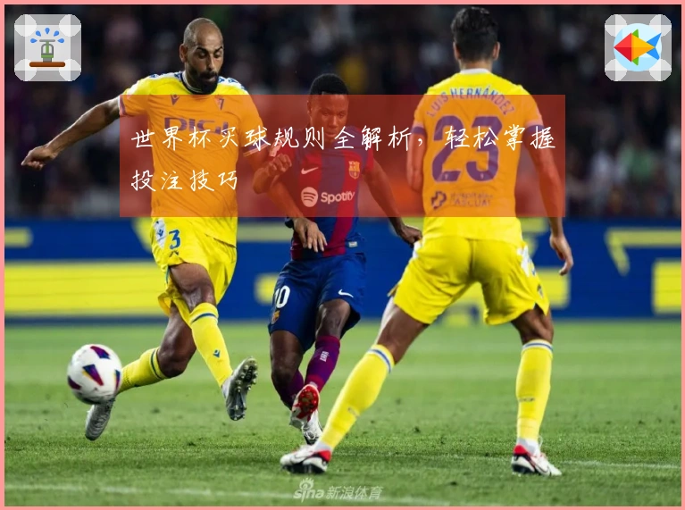 世界杯买球规则全解析，轻松掌握投注技巧