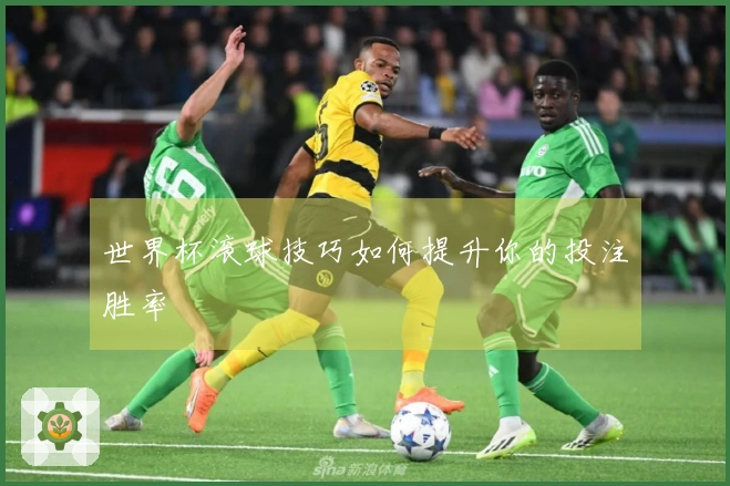 世界杯滚球技巧如何提升你的投注胜率