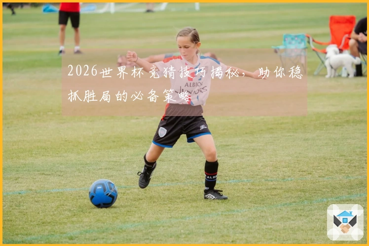 2026世界杯竞猜技巧揭秘，助你稳抓胜局的必备策略