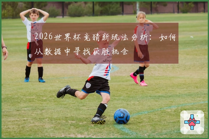 2026世界杯竞猜新玩法分析：如何从数据中寻找获胜机会