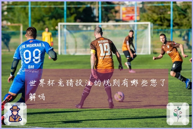 世界杯竞猜投注的规则有哪些您了解吗