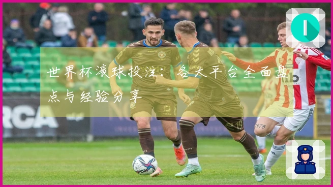 世界杯滚球投注：各大平台全面盘点与经验分享
