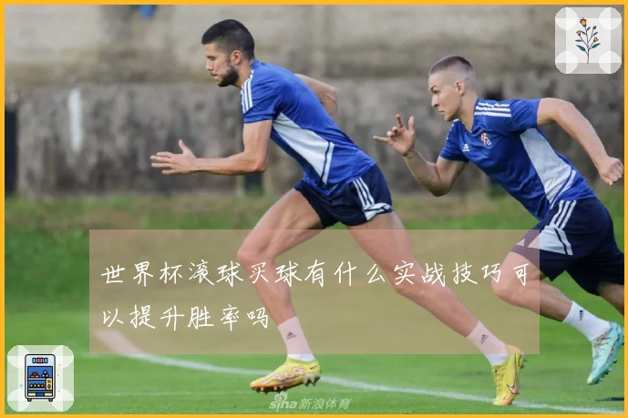 世界杯滚球买球有什么实战技巧可以提升胜率吗