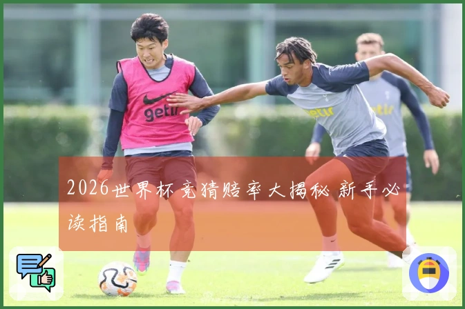 2026世界杯竞猜赔率大揭秘 新手必读指南