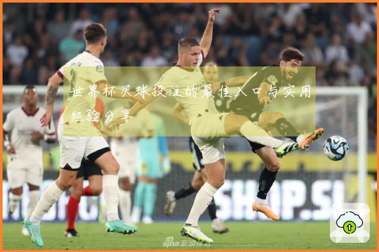 世界杯买球投注的最佳入口与实用经验分享