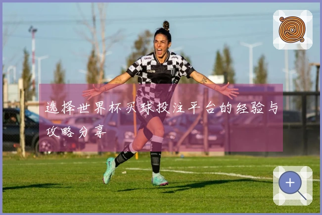 选择世界杯买球投注平台的经验与攻略分享