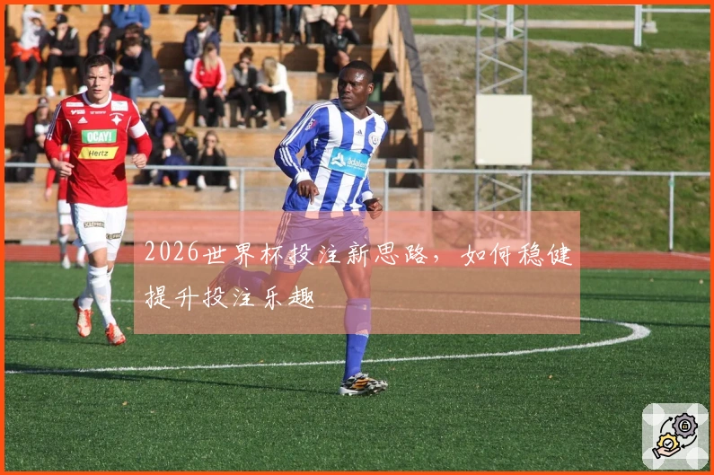 2026世界杯投注新思路，如何稳健提升投注乐趣