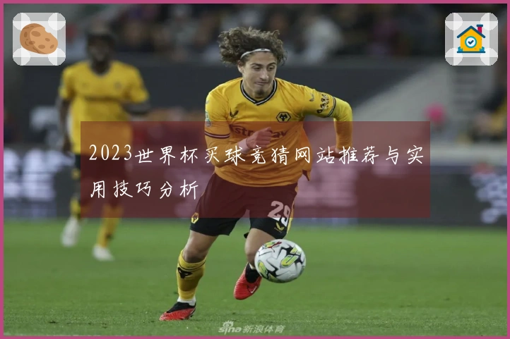 2023世界杯买球竞猜网站推荐与实用技巧分析
