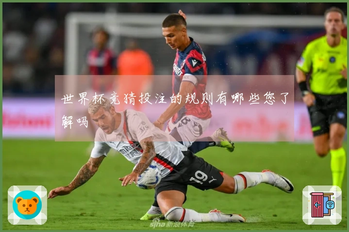 世界杯竞猜投注的规则有哪些您了解吗