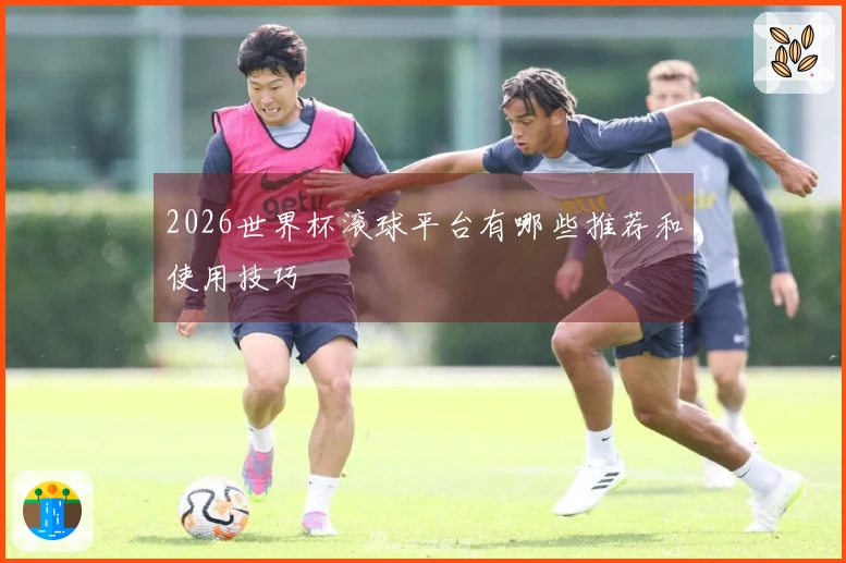 2026世界杯滚球平台有哪些推荐和使用技巧