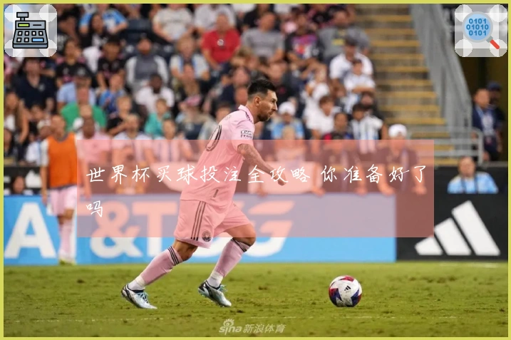 世界杯买球投注全攻略 你准备好了吗